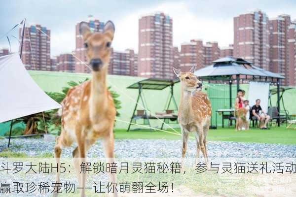 斗罗大陆H5：解锁暗月灵猫秘籍，参与灵猫送礼活动赢取珍稀宠物——让你萌翻全场！