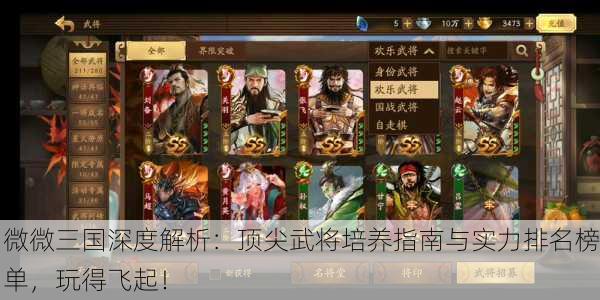 微微三国深度解析：顶尖武将培养指南与实力排名榜单，玩得飞起！