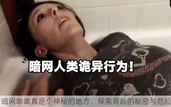 暗网呦呦真是个神秘的地方，探索背后的秘密与危险