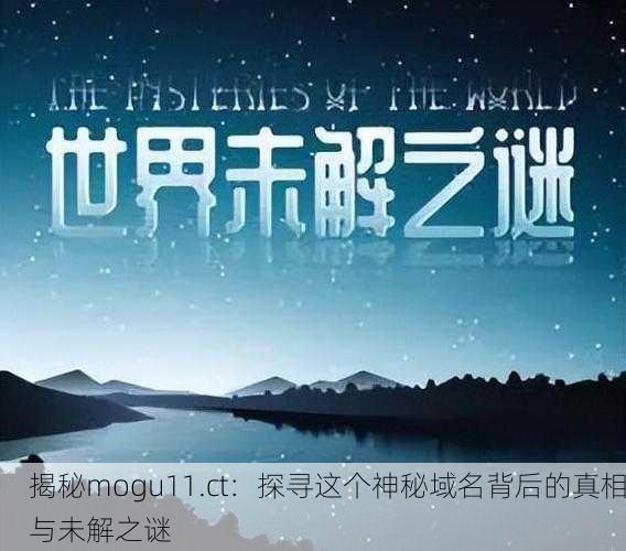 揭秘mogu11.ct：探寻这个神秘域名背后的真相与未解之谜
