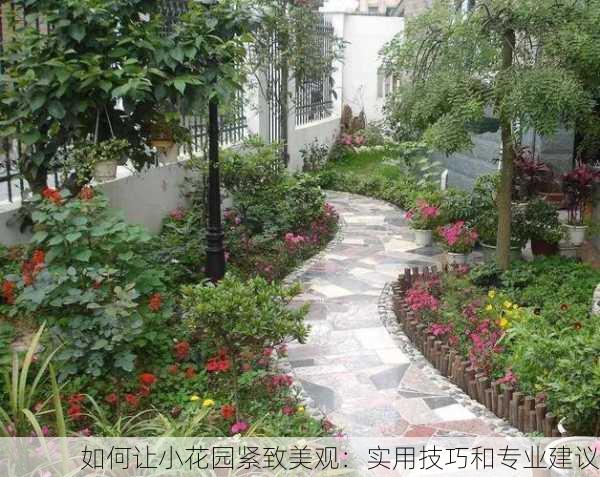 如何让小花园紧致美观：实用技巧和专业建议