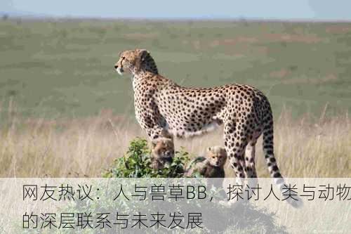 网友热议：人与兽草BB，探讨人类与动物的深层联系与未来发展