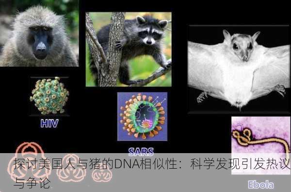 探讨美国人与猪的DNA相似性：科学发现引发热议与争论