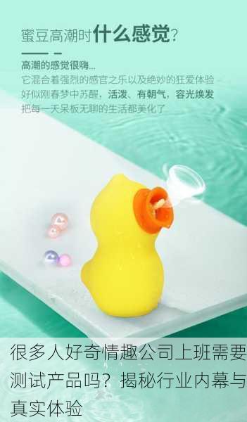 很多人好奇情趣公司上班需要测试产品吗？揭秘行业内幕与真实体验