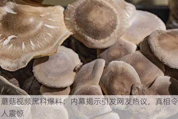 蘑菇视频黑料爆料：内幕揭示引发网友热议，真相令人震惊