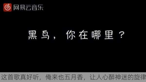 这首歌真好听，俺来也五月香，让人心醉神迷的旋律