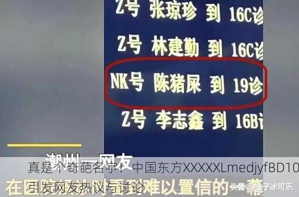真是个奇葩名字！中国东方XXXXXLmedjyfBD10引发网友热议与讨论