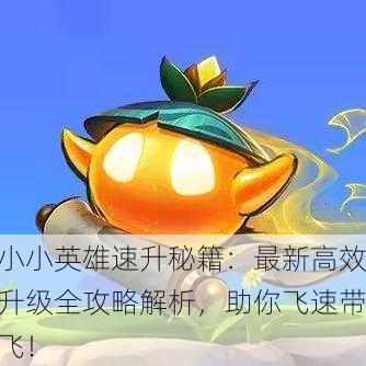 小小英雄速升秘籍：最新高效升级全攻略解析，助你飞速带飞！