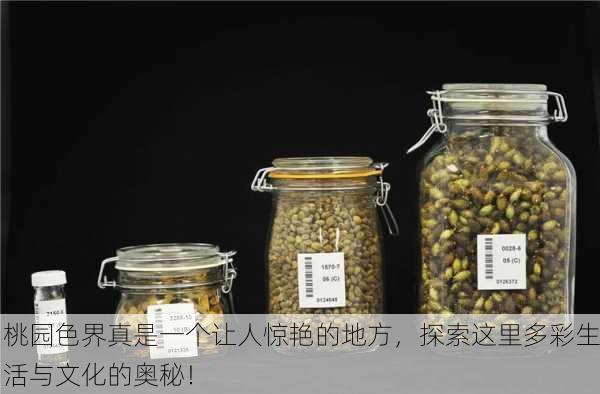 桃园色界真是一个让人惊艳的地方，探索这里多彩生活与文化的奥秘！