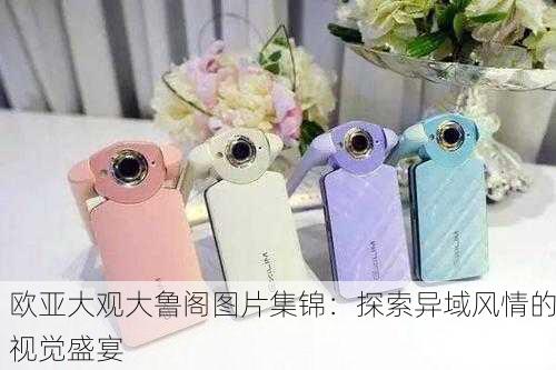 欧亚大观大鲁阁图片集锦：探索异域风情的视觉盛宴