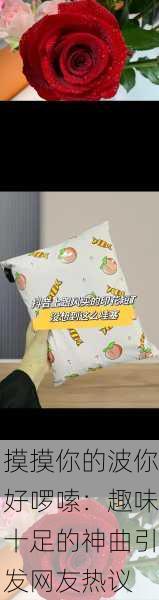 摸摸你的波你好啰嗦：趣味十足的神曲引发网友热议
