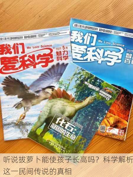 听说拔萝卜能使孩子长高吗？科学解析这一民间传说的真相