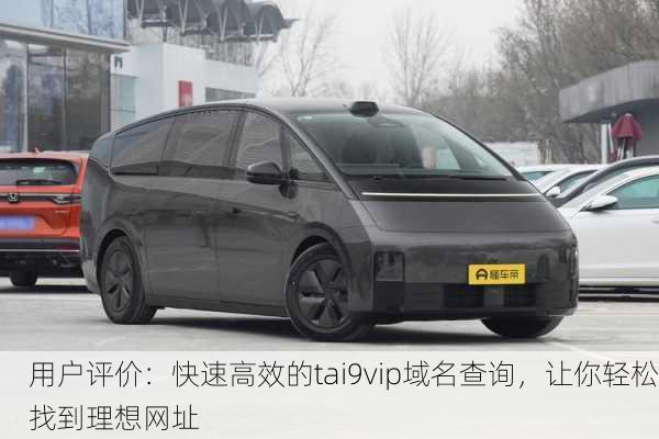 用户评价：快速高效的tai9vip域名查询，让你轻松找到理想网址