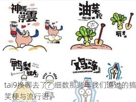 tai9换哪去了？细数那些年我们追过的搞笑梗与流行语。