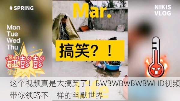 这个视频真是太搞笑了！BWBWBWBWBWHD视频带你领略不一样的幽默世界