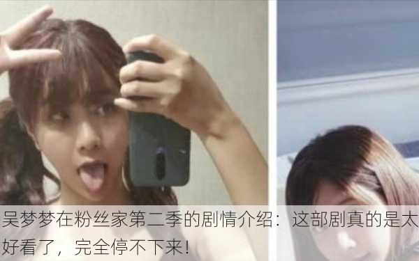 吴梦梦在粉丝家第二季的剧情介绍：这部剧真的是太好看了，完全停不下来！