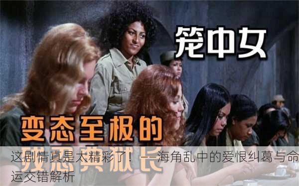 这剧情真是太精彩了！——海角乱中的爱恨纠葛与命运交错解析