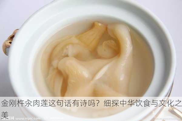 金刚杵汆肉莲这句话有诗吗？细探中华饮食与文化之美