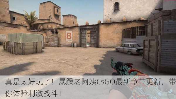 真是太好玩了！暴躁老阿姨CsGO最新章节更新，带你体验刺激战斗！