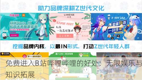 免费进入B站哔哩哔哩的好处：无限娱乐与知识拓展