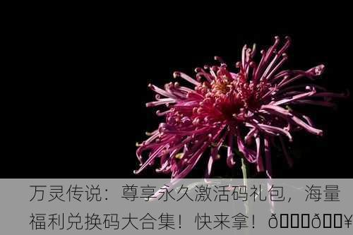 万灵传说：尊享永久激活码礼包，海量福利兑换码大合集！快来拿！🌟🔥