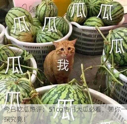 今日吃瓜热评：51cg热门大瓜必看，带你一探究竟！