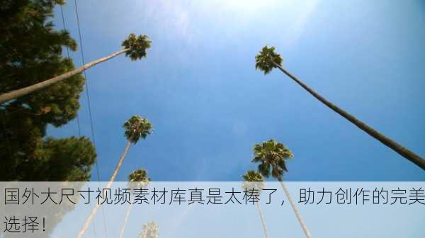 国外大尺寸视频素材库真是太棒了，助力创作的完美选择！