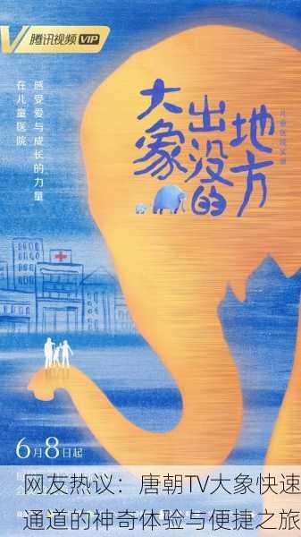 网友热议：唐朝TV大象快速通道的神奇体验与便捷之旅