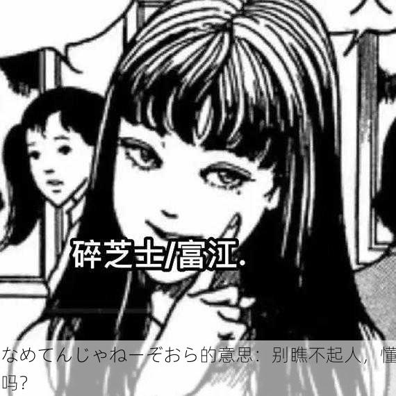 なめてんじゃねーぞおら的意思：别瞧不起人，懂吗？