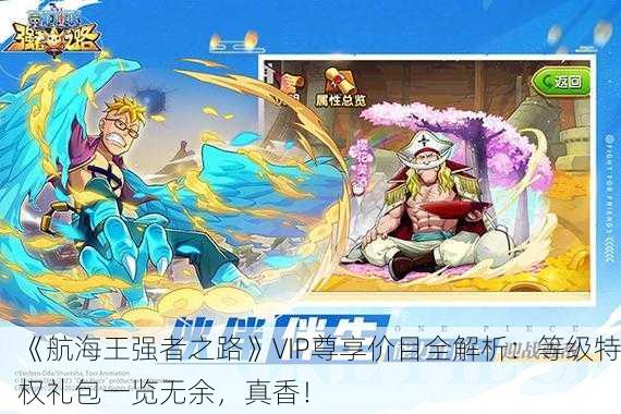 《航海王强者之路》VIP尊享价目全解析：等级特权礼包一览无余，真香！
