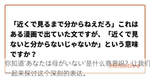 你知道‘あなたは母がいない’是什么意思吗？让我们一起来探讨这个深刻的表达。