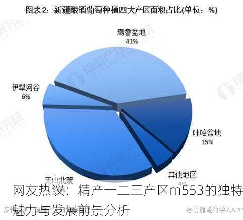 网友热议：精产一二三产区m553的独特魅力与发展前景分析