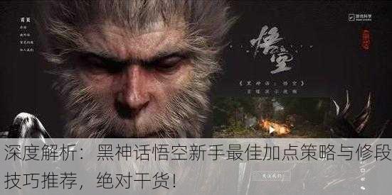 深度解析：黑神话悟空新手最佳加点策略与修段技巧推荐，绝对干货！