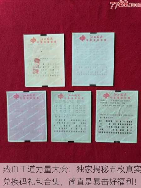 热血王道力量大会：独家揭秘五枚真实兑换码礼包合集，简直是暴击好福利！