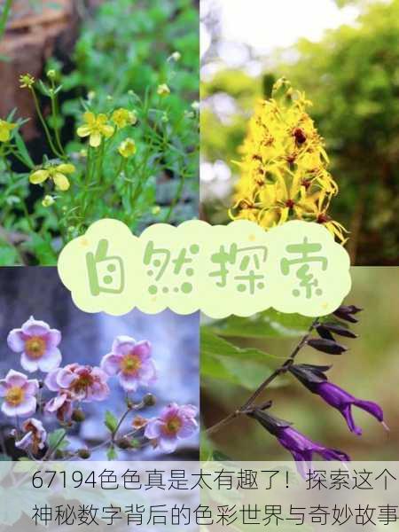 67194色色真是太有趣了！探索这个神秘数字背后的色彩世界与奇妙故事