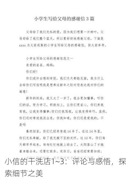 小信的干洗店1~3：评论与感悟，探索细节之美