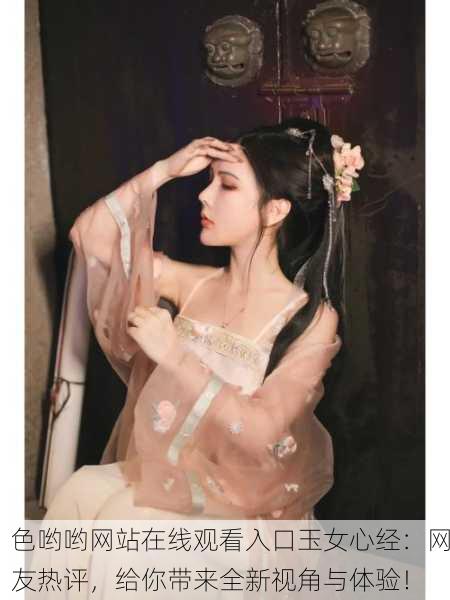 色哟哟网站在线观看入口玉女心经：网友热评，给你带来全新视角与体验！