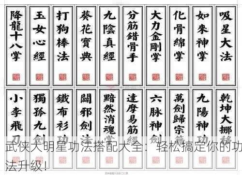 武侠大明星功法搭配大全：轻松搞定你的功法升级！