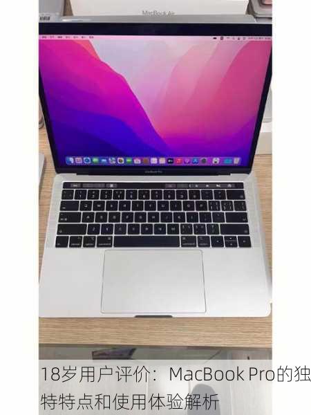 18岁用户评价：MacBook Pro的独特特点和使用体验解析