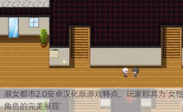 淑女都市2.0安卓汉化版游戏特点，玩家称其为‘女性角色的完美展现’