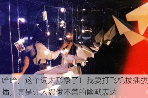 哈哈，这个词太形象了！我要打飞机拔插拔插，真是让人忍俊不禁的幽默表达