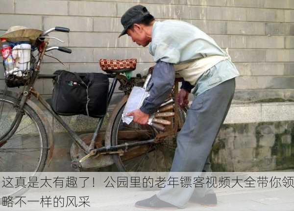 这真是太有趣了！公园里的老年镖客视频大全带你领略不一样的风采