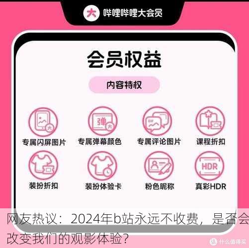 网友热议：2024年b站永远不收费，是否会改变我们的观影体验？