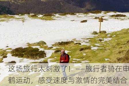 这场旅行太刺激了！——旅行者骑在申鹤运动，感受速度与激情的完美结合