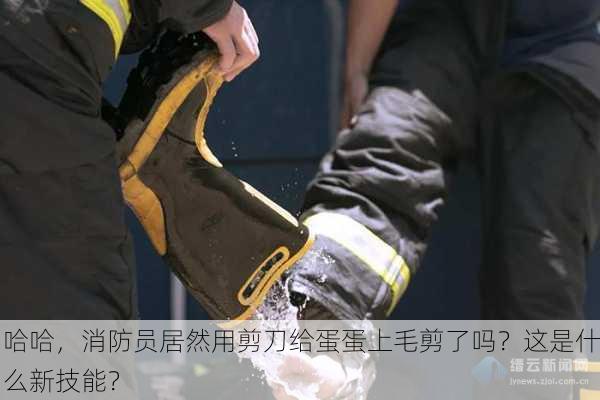 哈哈，消防员居然用剪刀给蛋蛋上毛剪了吗？这是什么新技能？