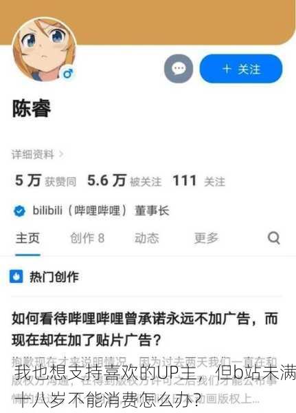 我也想支持喜欢的UP主，但b站未满十八岁不能消费怎么办？