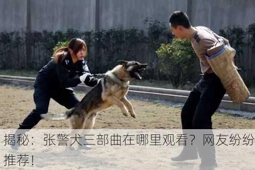 揭秘：张警犬三部曲在哪里观看？网友纷纷推荐！