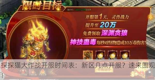 探探猫大作战开服时间表：新区几点开服？速来围观！