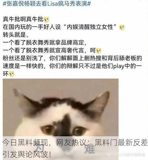 今日黑料频现，网友热议：黑料门最新反差引发舆论风波！