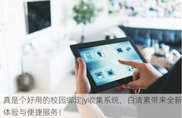 真是个好用的校园绑定jy收集系统，白清素带来全新体验与便捷服务！